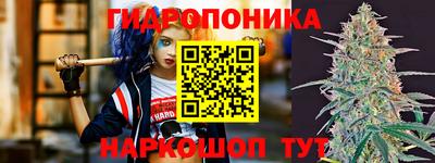 гашик Малгобек