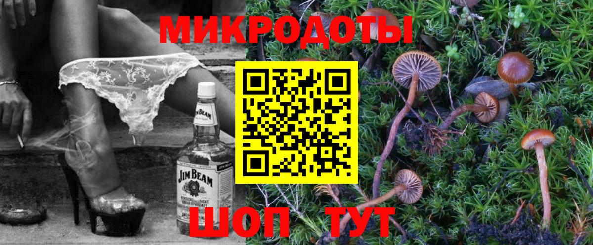 Галлюциногенные грибы MAGIC MUSHROOMS  Вход с VPN  Гудермес 