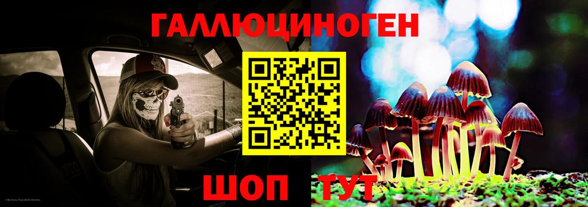 Псилоцибиновые грибы мухоморы Гудермес